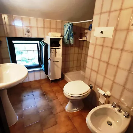 Apartment Mansarda Elena *